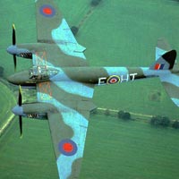 Mosquito