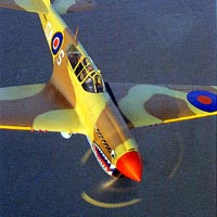 P-40 "Warhawk"